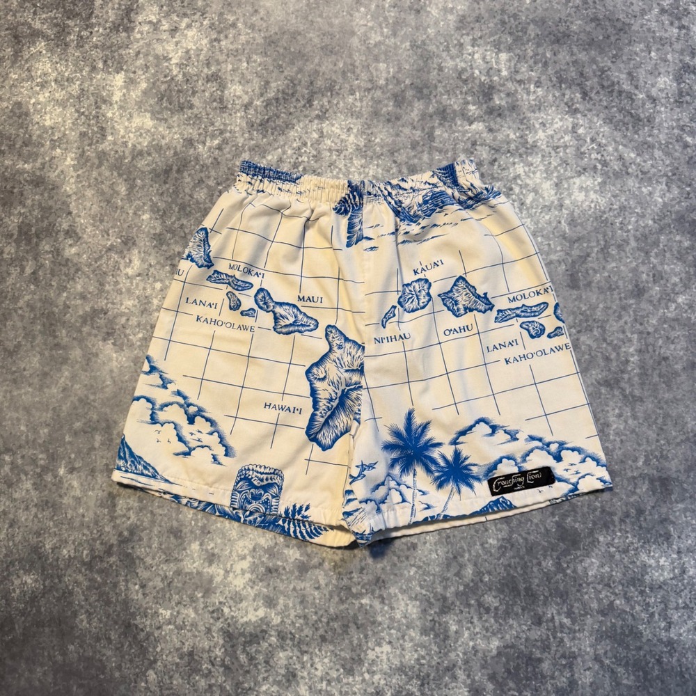 Vintage Crouching Lion Hawaii Kids Map Print Shorts Blue White Size 10